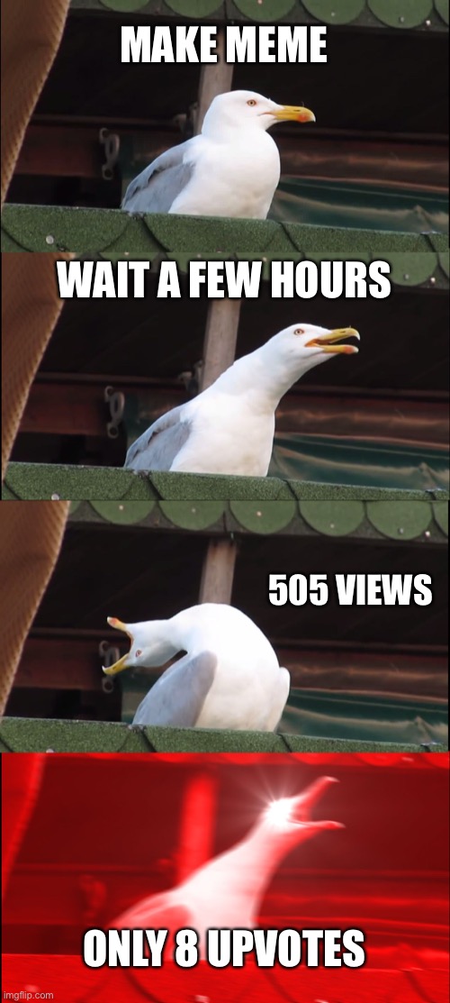 Still good in my opinion | MAKE MEME; WAIT A FEW HOURS; 505 VIEWS; ONLY 8 UPVOTES | image tagged in memes,inhaling seagull,upvotes,views | made w/ Imgflip meme maker