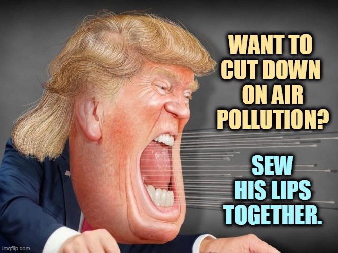 Bad breath. | WANT TO 
CUT DOWN 
ON AIR POLLUTION? SEW HIS LIPS TOGETHER. | image tagged in trump wind bag,trump,shouting,yelling,stupid,empty | made w/ Imgflip meme maker