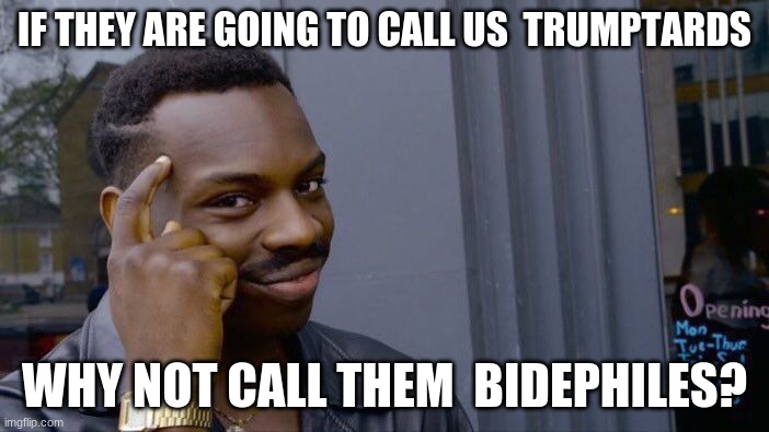 Roll safe. | IF THEY ARE GOING TO CALL US  TRUMPTARDS; WHY NOT CALL THEM  BIDEPHILES? | image tagged in memes,roll safe think about it,smartass,politics | made w/ Imgflip meme maker