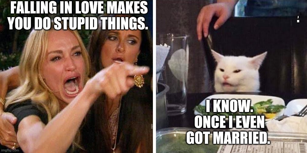 Smudge the cat | FALLING IN LOVE MAKES YOU DO STUPID THINGS. J M; I KNOW. ONCE I EVEN GOT MARRIED. | image tagged in smudge the cat | made w/ Imgflip meme maker