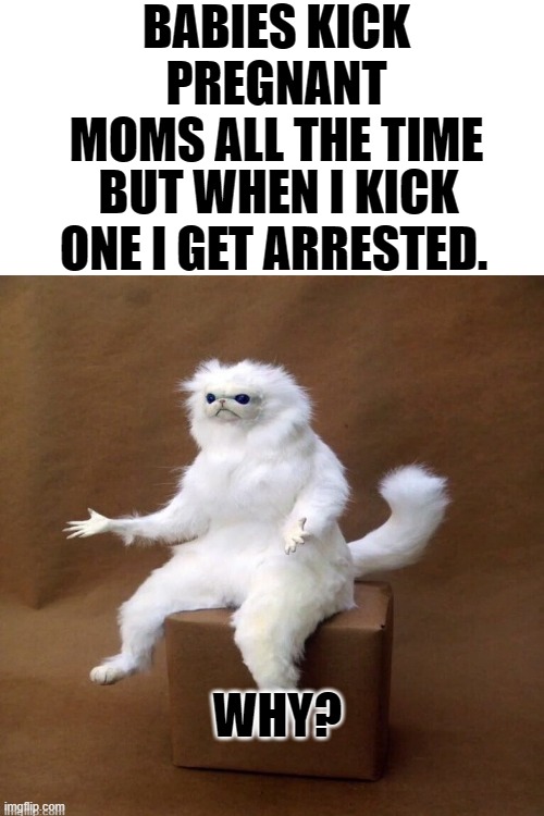 why does this happen? | BABIES KICK PREGNANT MOMS ALL THE TIME; BUT WHEN I KICK ONE I GET ARRESTED. WHY? | image tagged in blank white template,baby,kick | made w/ Imgflip meme maker