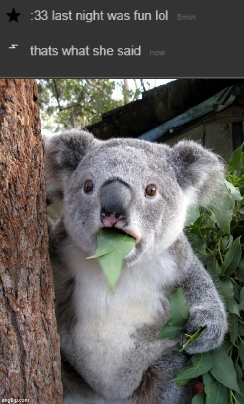 .-. | image tagged in memes,surprised koala | made w/ Imgflip meme maker