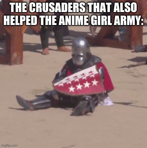 Sad crusader noises | THE CRUSADERS THAT ALSO HELPED THE ANIME GIRL ARMY: | image tagged in sad crusader noises | made w/ Imgflip meme maker
