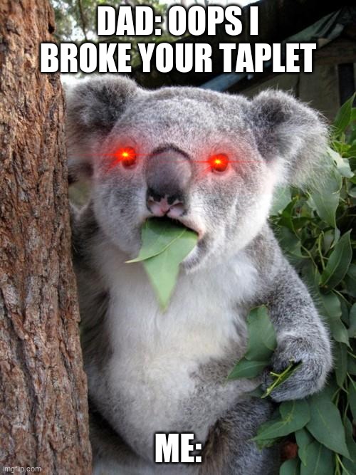 when your dad breaks your tablet | DAD: OOPS I BROKE YOUR TAPLET; ME: | image tagged in memes,surprised koala | made w/ Imgflip meme maker