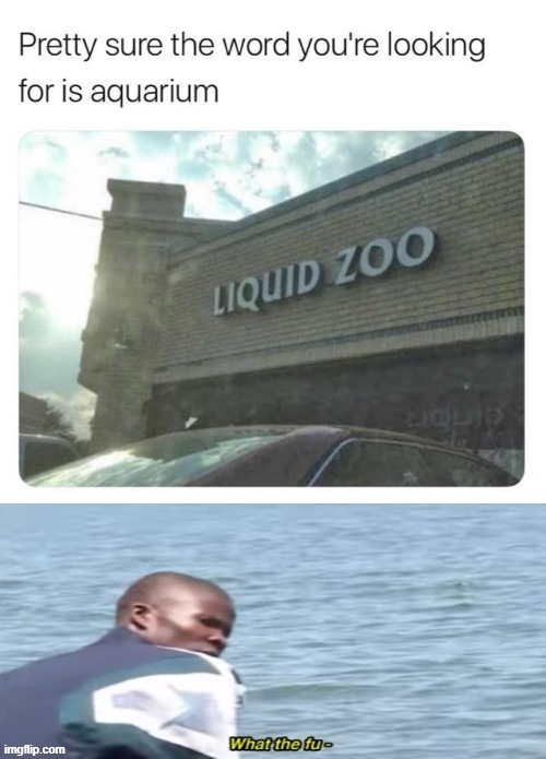 what the fu- | image tagged in lol | made w/ Imgflip meme maker