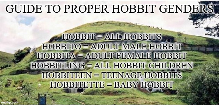 Hobbit Guide | GUIDE TO PROPER HOBBIT GENDERS; HOBBIT = ALL HOBBITS
HOBBITO = ADULT MALE HOBBIT
HOBBITA = ADULT FEMALE HOBBIT
HOBBITLING = ALL HOBBIT CHILDREN
HOBBITEEN = TEENAGE HOBBITS
HOBBITETTE = BABY HOBBIT | image tagged in funny | made w/ Imgflip meme maker