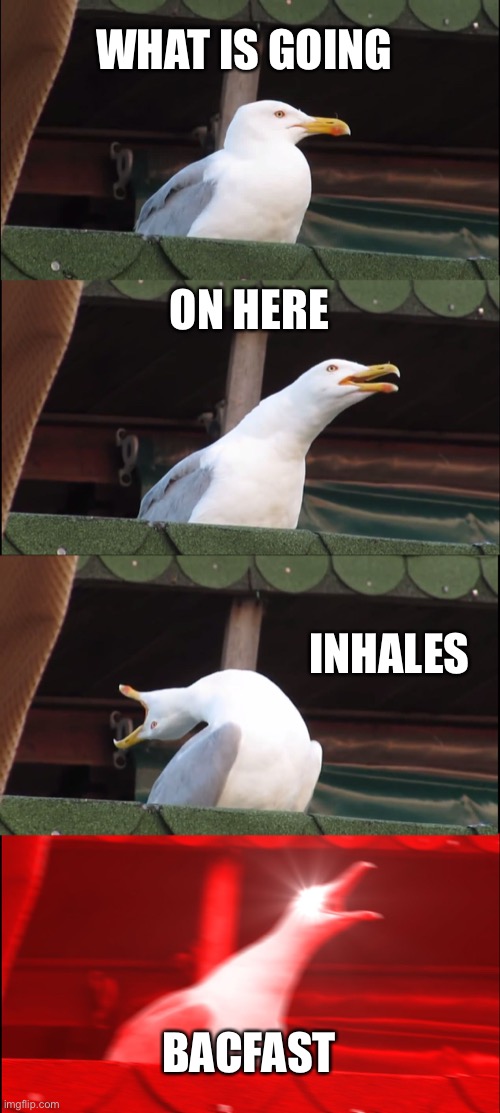 Inhaling Seagull | WHAT IS GOING; ON HERE; INHALES; BACFAST | image tagged in memes,inhaling seagull | made w/ Imgflip meme maker