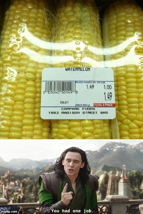 u had one job | image tagged in lol | made w/ Imgflip meme maker