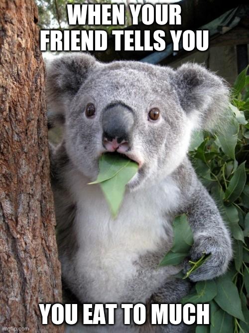 Surprised Koala Meme | WHEN YOUR FRIEND TELLS YOU; YOU EAT TO MUCH | image tagged in memes,surprised koala | made w/ Imgflip meme maker