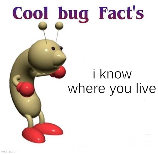 Cool Bug Facts |  i know where you live | image tagged in cool bug facts,memes | made w/ Imgflip meme maker