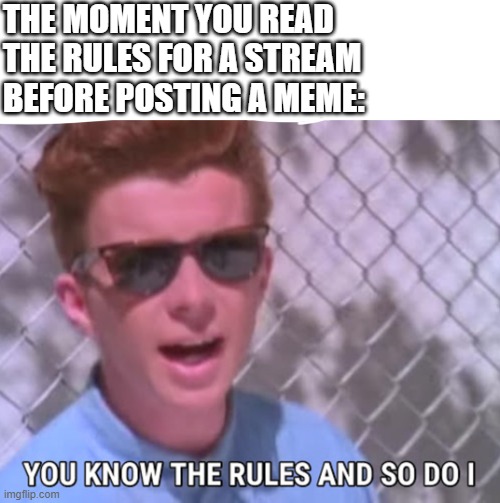 Yep we know the rules | THE MOMENT YOU READ THE RULES FOR A STREAM BEFORE POSTING A MEME: | image tagged in you know the rules | made w/ Imgflip meme maker