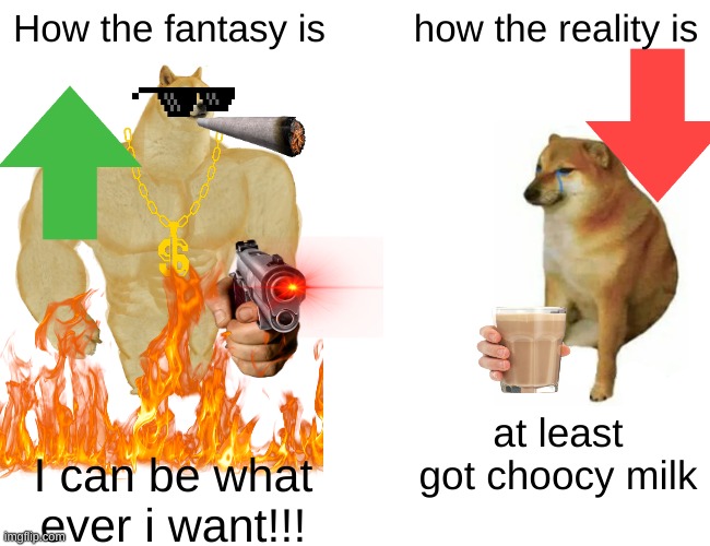 Everybody who read this meme will understand and have a good life | How the fantasy is; how the reality is; at least got choocy milk; I can be what ever i want!!! | image tagged in memes,buff doge vs cheems | made w/ Imgflip meme maker