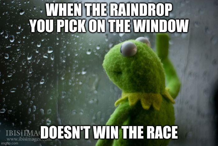 kermit window | WHEN THE RAINDROP YOU PICK ON THE WINDOW; DOESN'T WIN THE RACE | image tagged in kermit window | made w/ Imgflip meme maker