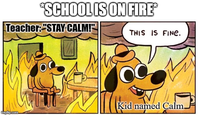 It'll be fine | *SCHOOL IS ON FIRE*; Teacher: "STAY CALM!"; Kid named Calm | image tagged in memes,this is fine | made w/ Imgflip meme maker