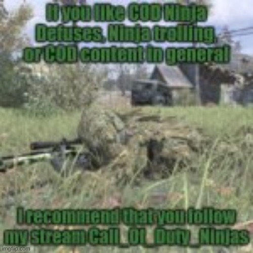 https://imgflip.com/m/Call_Of_Duty_Ninjas | image tagged in callofduty | made w/ Imgflip meme maker