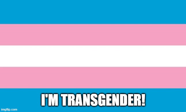 Transgender Flag | I'M TRANSGENDER! | image tagged in transgender flag | made w/ Imgflip meme maker