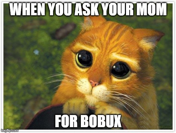 Shrek Cat |  WHEN YOU ASK YOUR MOM; FOR BOBUX | image tagged in memes,shrek cat | made w/ Imgflip meme maker