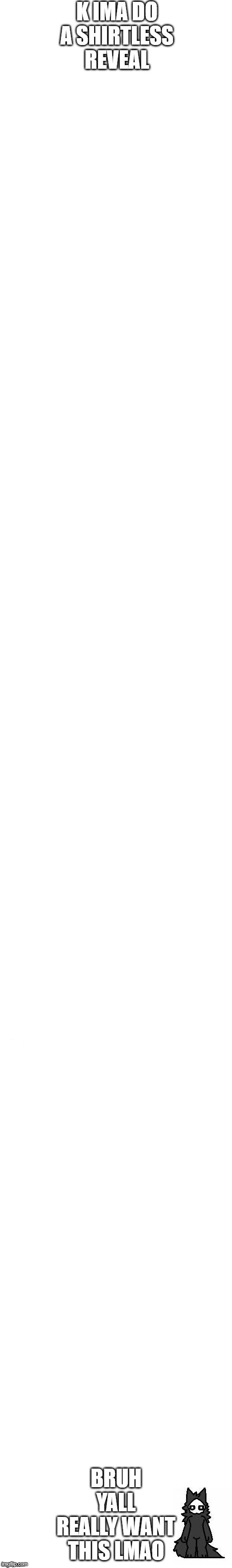 long white template | K IMA DO A SHIRTLESS REVEAL; BRUH YALL REALLY WANT THIS LMAO | image tagged in long white template | made w/ Imgflip meme maker