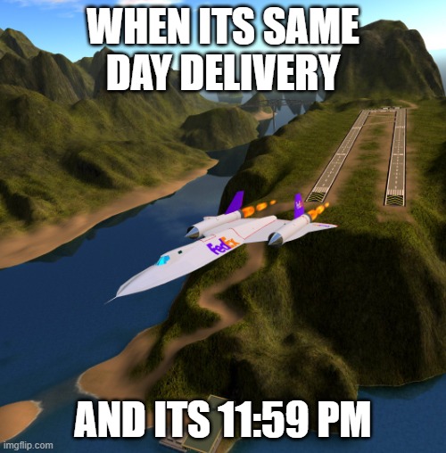 Fed ex | WHEN ITS SAME DAY DELIVERY; AND ITS 11:59 PM | image tagged in fed ex black bird | made w/ Imgflip meme maker