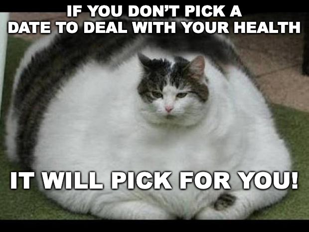 fat cat 2 | IF YOU DON’T PICK A DATE TO DEAL WITH YOUR HEALTH; IT WILL PICK FOR YOU! | image tagged in fat cat 2 | made w/ Imgflip meme maker