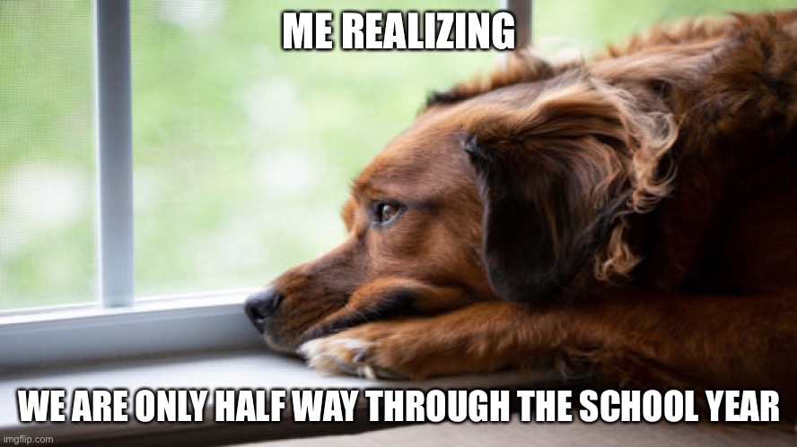 *sadness noises* | ME REALIZING; WE ARE ONLY HALF WAY THROUGH THE SCHOOL YEAR | image tagged in sad,meme,yes | made w/ Imgflip meme maker