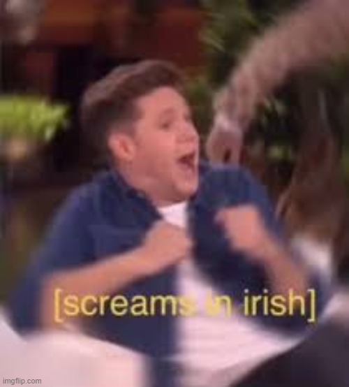 [screams in irish] | image tagged in screams in irish | made w/ Imgflip meme maker