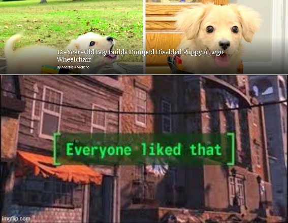 Everyone Liked That | image tagged in everyone liked that,memes,dog,animals,dogs,dog meme | made w/ Imgflip meme maker
