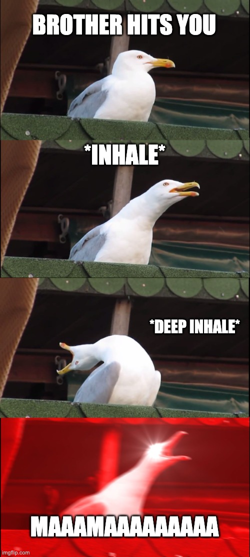 Inhaling Seagull | BROTHER HITS YOU; *INHALE*; *DEEP INHALE*; MAAAMAAAAAAAAA | image tagged in memes,inhaling seagull | made w/ Imgflip meme maker