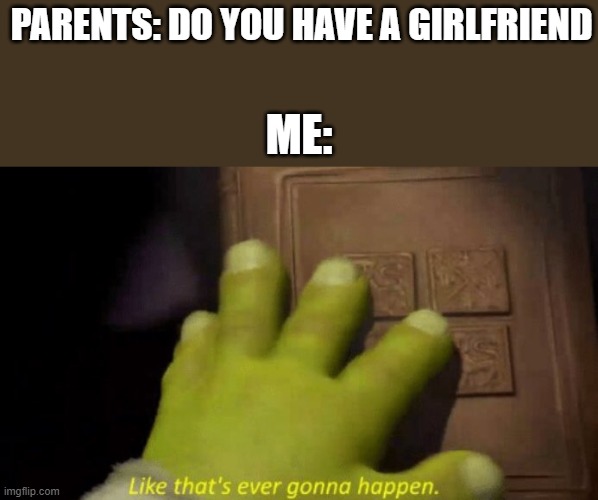 Like that's ever gonna happen. | PARENTS: DO YOU HAVE A GIRLFRIEND; ME: | image tagged in like that's ever gonna happen,boys vs girls,girls vs boys | made w/ Imgflip meme maker