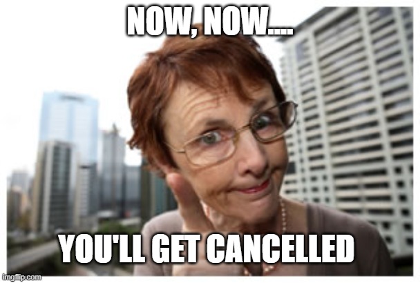 Cancelled | NOW, NOW.... YOU'LL GET CANCELLED | image tagged in politics,political correctness,cancel culture,funny | made w/ Imgflip meme maker