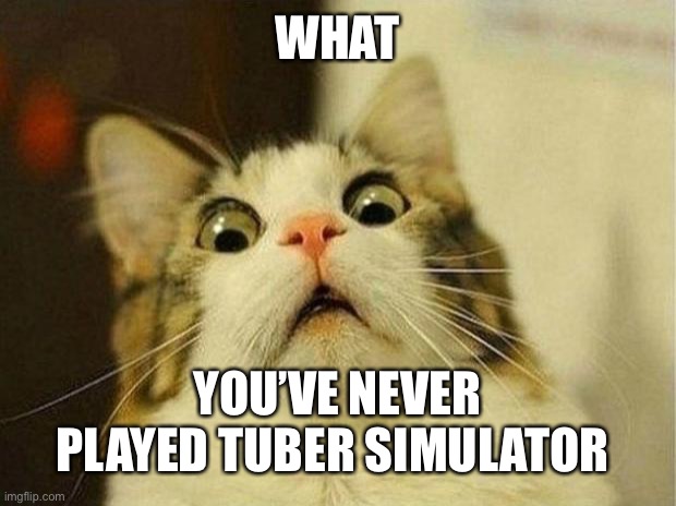 Tuber simulator | WHAT; YOU’VE NEVER PLAYED TUBER SIMULATOR | image tagged in memes,scared cat | made w/ Imgflip meme maker