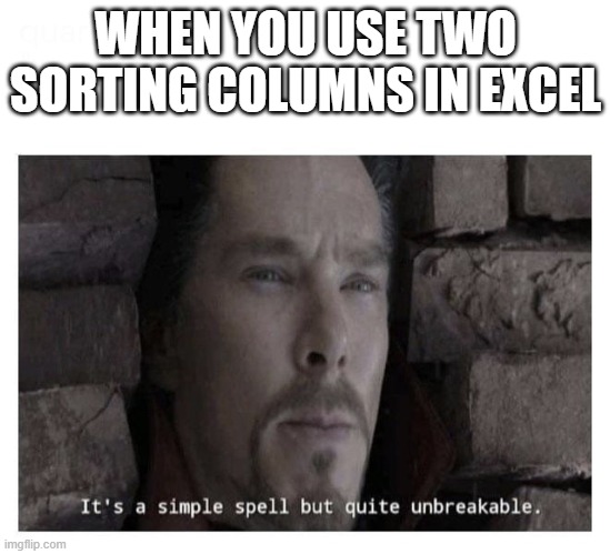 It’s a simple spell but quite unbreakable | WHEN YOU USE TWO SORTING COLUMNS IN EXCEL | image tagged in it s a simple spell but quite unbreakable | made w/ Imgflip meme maker