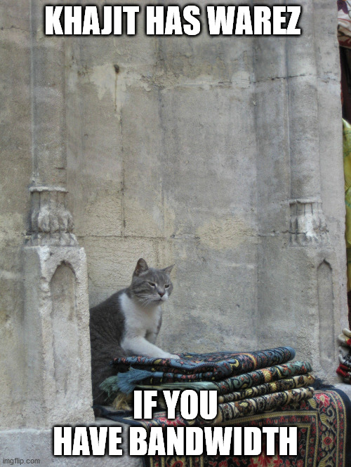 Khajit has wares if you have coin | KHAJIT HAS WAREZ; IF YOU HAVE BANDWIDTH | image tagged in khajit has wares if you have coin | made w/ Imgflip meme maker