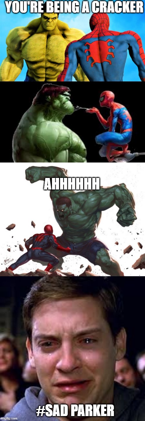 parker and hulk | YOU'RE BEING A CRACKER; AHHHHHH; #SAD PARKER | image tagged in super hero,spiderman,hulk | made w/ Imgflip meme maker