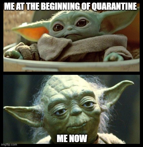 quarantine me | ME AT THE BEGINNING OF QUARANTINE; ME NOW | image tagged in baby yoda | made w/ Imgflip meme maker