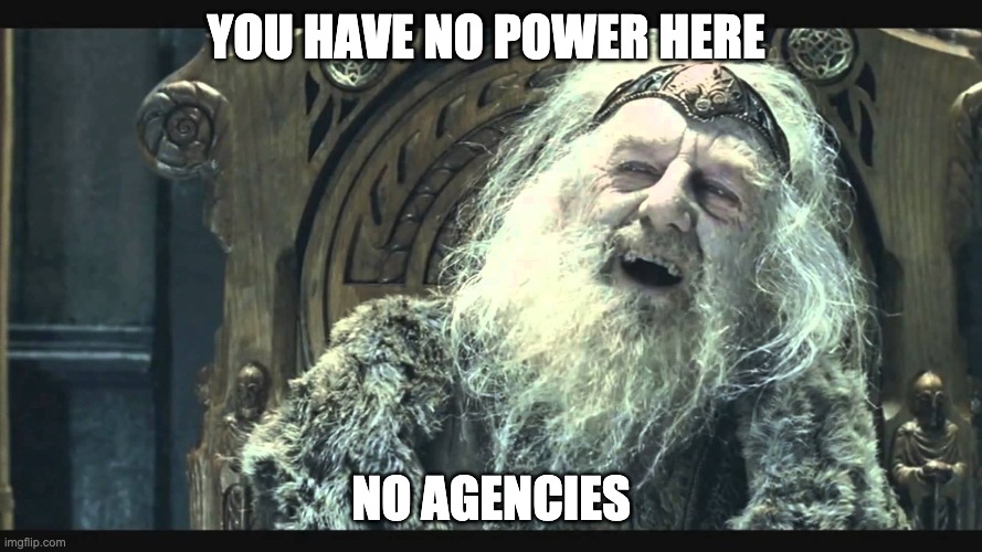 King Theoden | YOU HAVE NO POWER HERE; NO AGENCIES | image tagged in king theoden | made w/ Imgflip meme maker