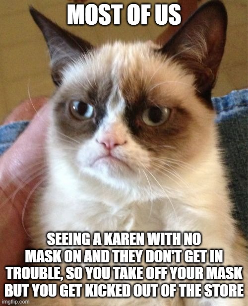 Grumpy Cat | MOST OF US; SEEING A KAREN WITH NO MASK ON AND THEY DON'T GET IN TROUBLE, SO YOU TAKE OFF YOUR MASK BUT YOU GET KICKED OUT OF THE STORE | image tagged in memes,grumpy cat,karen | made w/ Imgflip meme maker