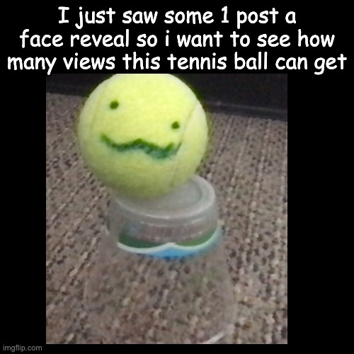 tennis ball | I just saw some 1 post a face reveal so i want to see how many views this tennis ball can get | image tagged in tennis,ball,famous | made w/ Imgflip meme maker