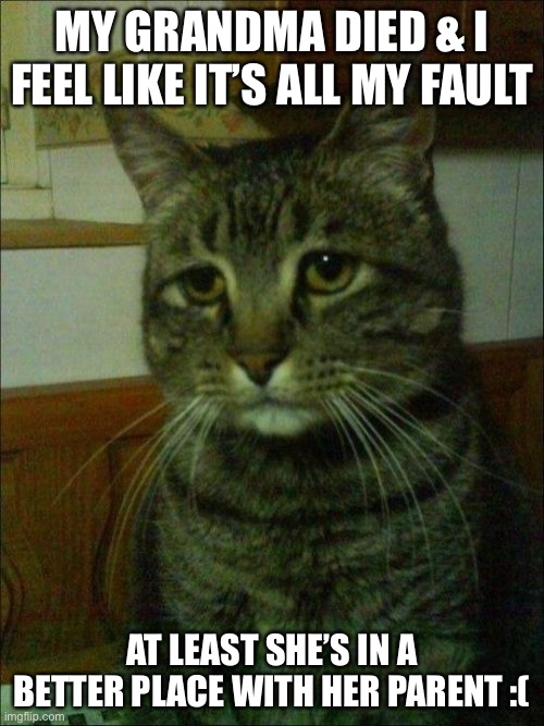 :( | MY GRANDMA DIED & I FEEL LIKE IT’S ALL MY FAULT; AT LEAST SHE’S IN A BETTER PLACE WITH HER PARENT :( | image tagged in memes,depressed cat | made w/ Imgflip meme maker