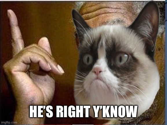 Grumpy Cat He's Right You Know | HE’S RIGHT Y’KNOW | image tagged in grumpy cat he's right you know | made w/ Imgflip meme maker