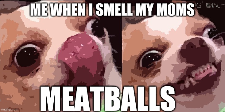 y e s | ME WHEN I SMELL MY MOMS; MEATBALLS | image tagged in hungry dog,dog,hungry,puppy,funny | made w/ Imgflip meme maker
