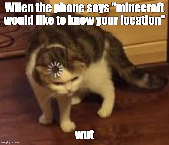 wut | WHen the phone says "minecraft would like to know your location"; wut | image tagged in wut | made w/ Imgflip meme maker