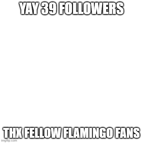 thx | YAY 39 FOLLOWERS; THX FELLOW FLAMINGO FANS | image tagged in memes,blank transparent square | made w/ Imgflip meme maker
