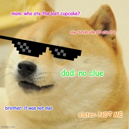 when I eat the last cupcake | mom: who ate the last cupcake? me: bruh idk ( I ate it ); dad: no clue; brother: it was not me! sister: NOT ME | image tagged in memes,doge | made w/ Imgflip meme maker