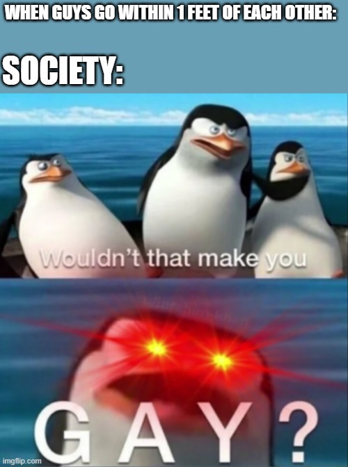 wouldnt that make you |  WHEN GUYS GO WITHIN 1 FEET OF EACH OTHER:; SOCIETY: | image tagged in wouldn't that make you gay | made w/ Imgflip meme maker