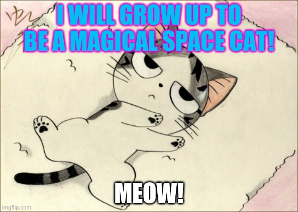 I WILL GROW UP TO BE A MAGICAL SPACE CAT! MEOW! | made w/ Imgflip meme maker
