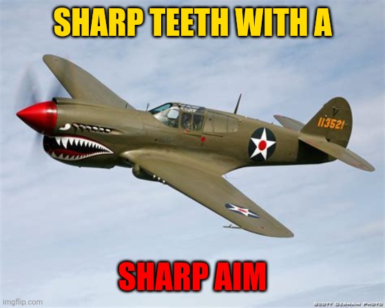 P40 Warhawks | SHARP TEETH WITH A; SHARP AIM | image tagged in wwii,usa,history,p40,planes,p40 warhawks | made w/ Imgflip meme maker