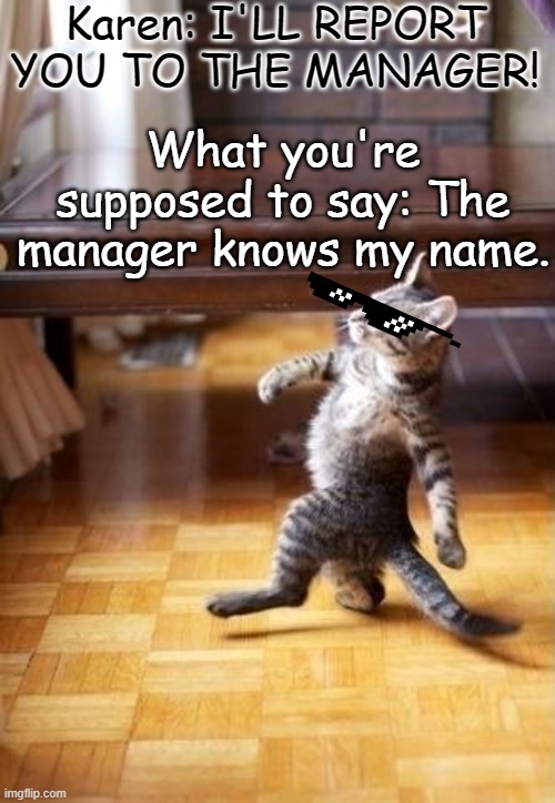 Karenssssss | Karen: I'LL REPORT YOU TO THE MANAGER! What you're supposed to say: The manager knows my name. | image tagged in memes,cool cat stroll | made w/ Imgflip meme maker