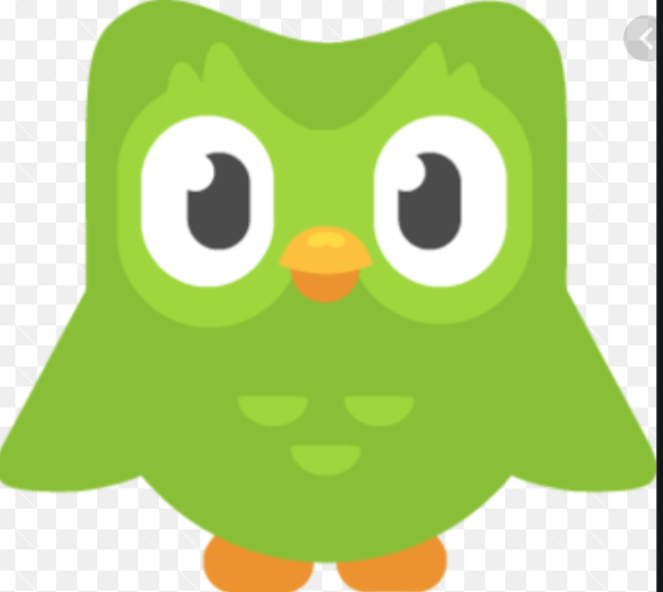 High Quality Duolingo bird Blank Meme Template