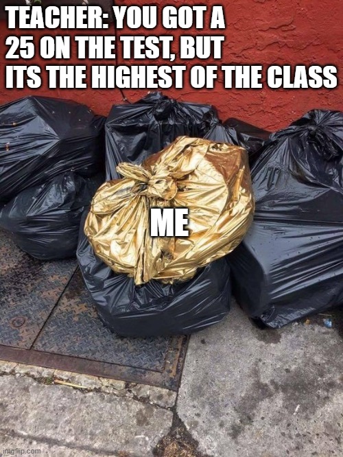 So Special |  TEACHER: YOU GOT A 25 ON THE TEST, BUT ITS THE HIGHEST OF THE CLASS; ME | image tagged in golden trash bag | made w/ Imgflip meme maker
